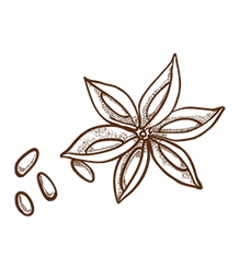 Shape Image